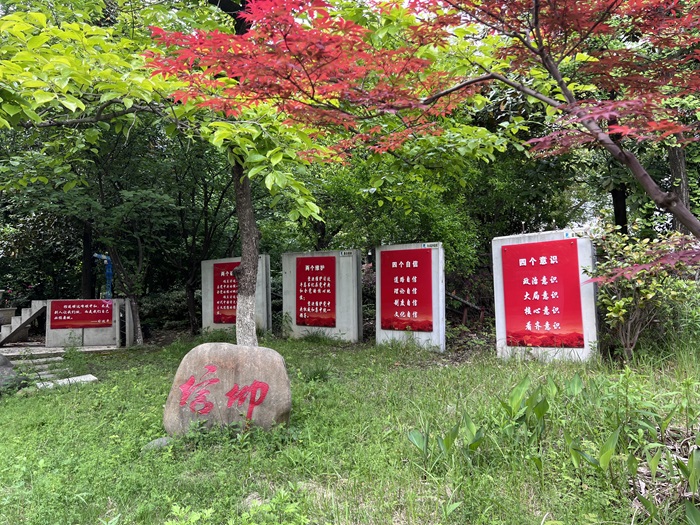 图片7.jpg