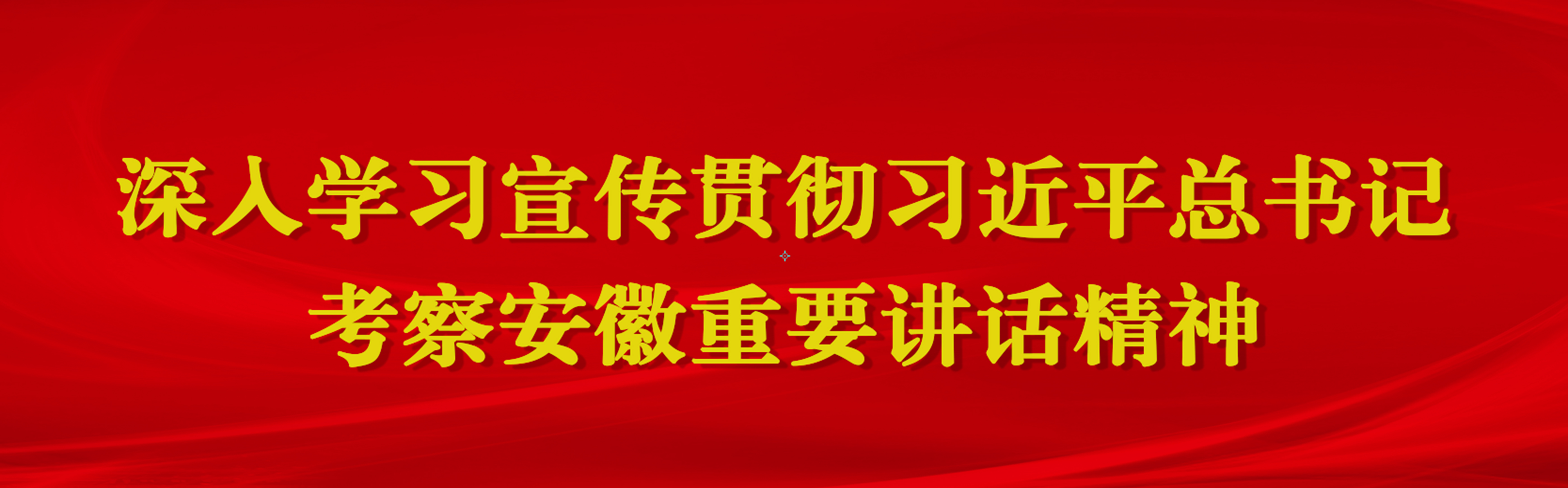 深入学习宣传贯彻习近平总书记考察安徽重要讲话精神